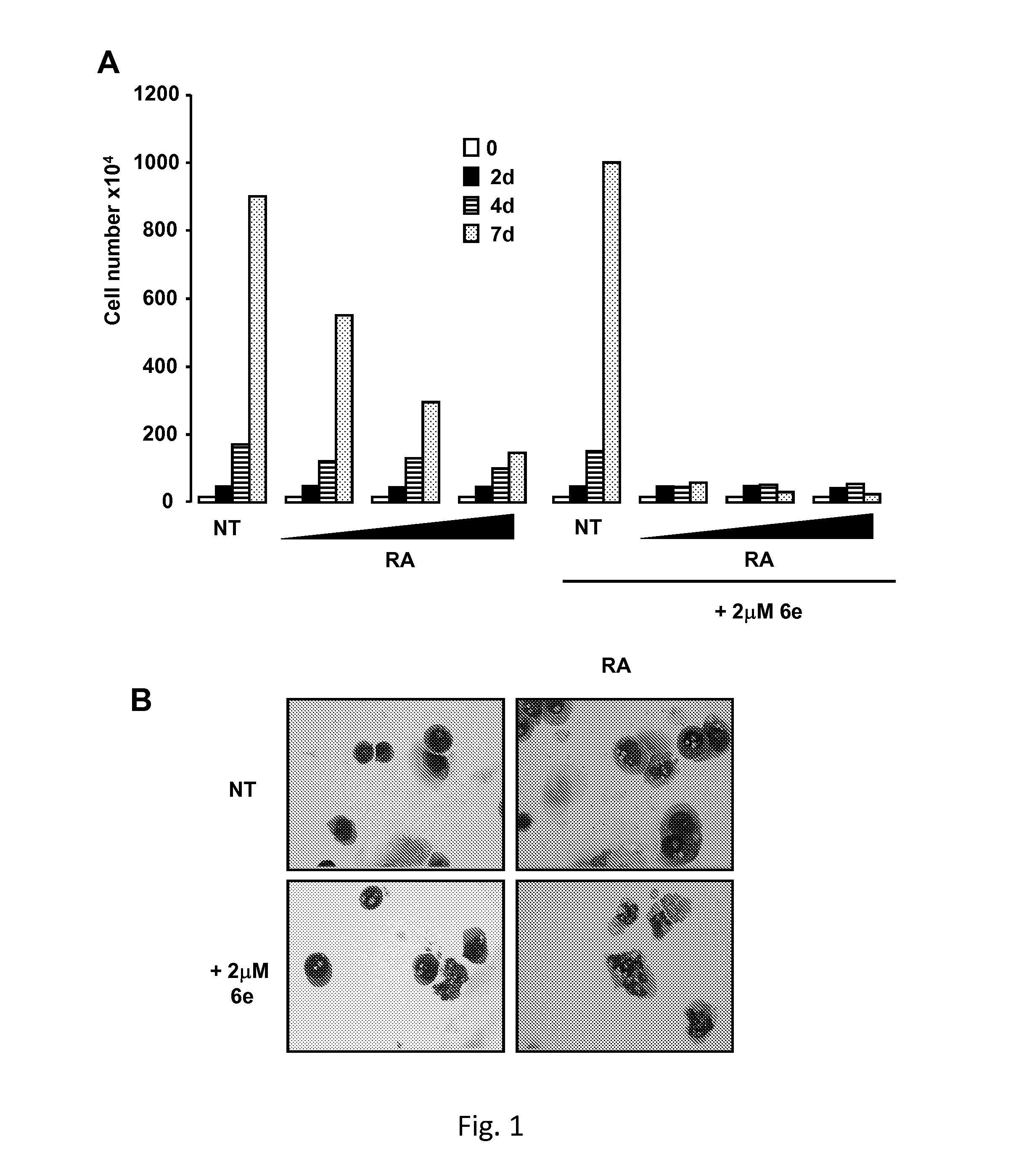 Tranylcypromine derivatives as inhibitors of histone demethylases LSD1 and/or LSD2