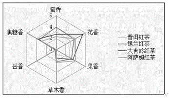 Comprehensive sensory quality evaluation method for tea leaves