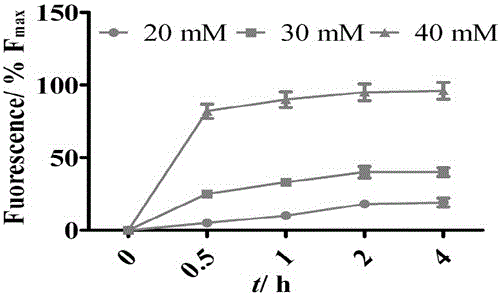 Technology for preparing double-loaded or multi-loaded liposome through liposome fusion induction