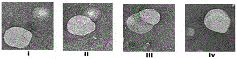 Technology for preparing double-loaded or multi-loaded liposome through liposome fusion induction