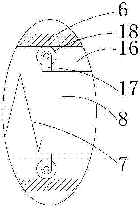 Bottled can conveying device