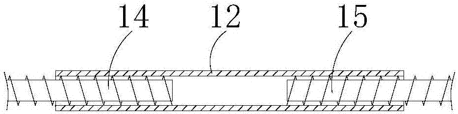 Bottled can conveying device