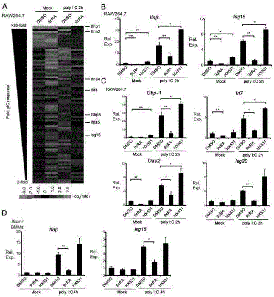 Application of RXR in construction of susceptibility model of herpes simplex virus type 1 (HSV-1)