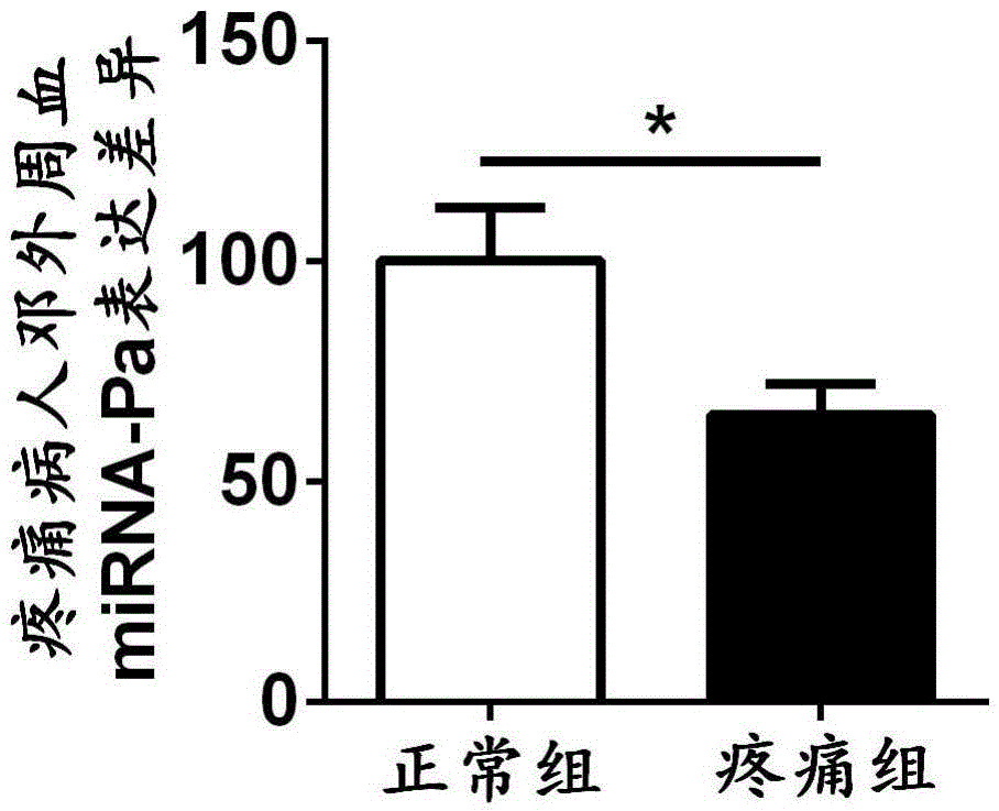 Application of miRNA-Pa compound in preparing chronic pain diagnostic marker and therapy medicine