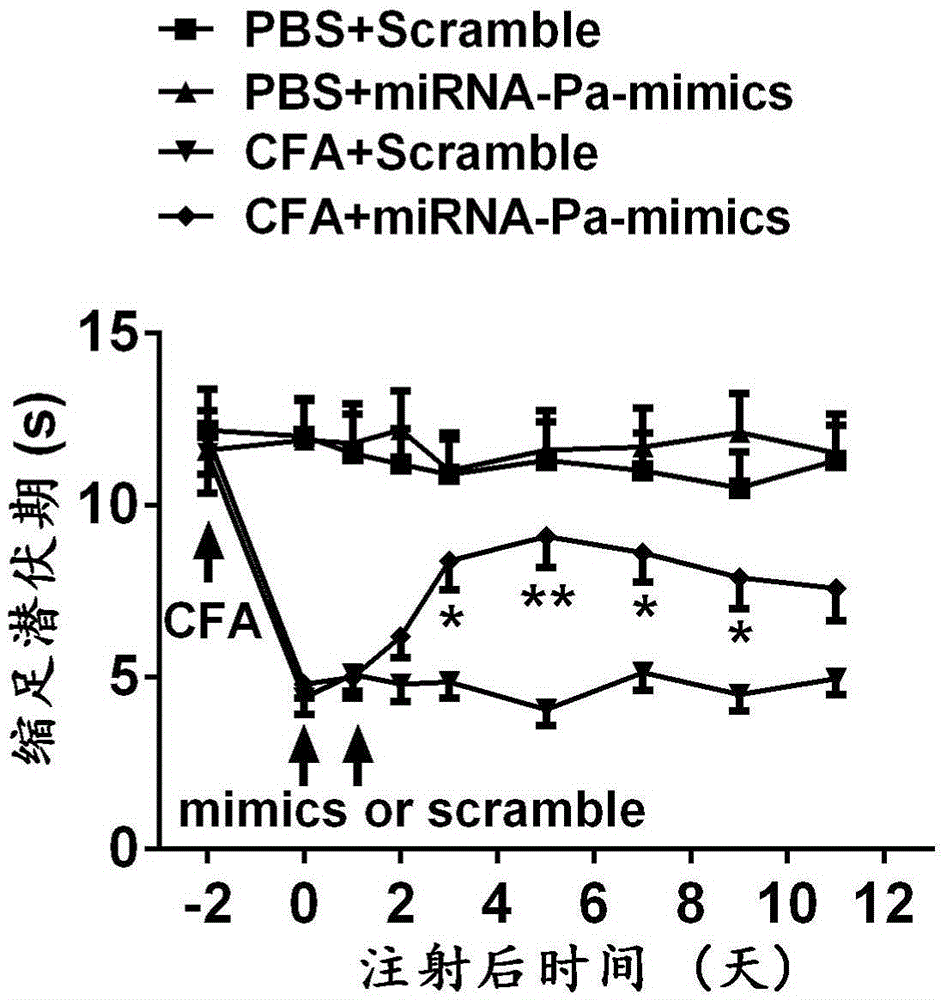 Application of miRNA-Pa compound in preparing chronic pain diagnostic marker and therapy medicine