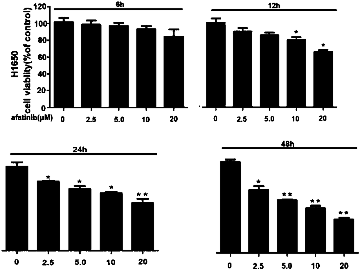 Autophagy inhibitor and afatinib medicine composition and application of composition to preparation of tumor synergist