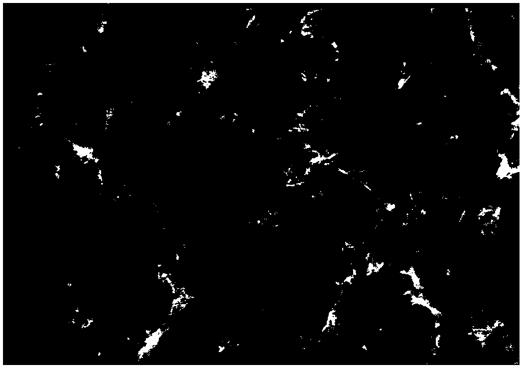 Surface treatment method for resisting frosting