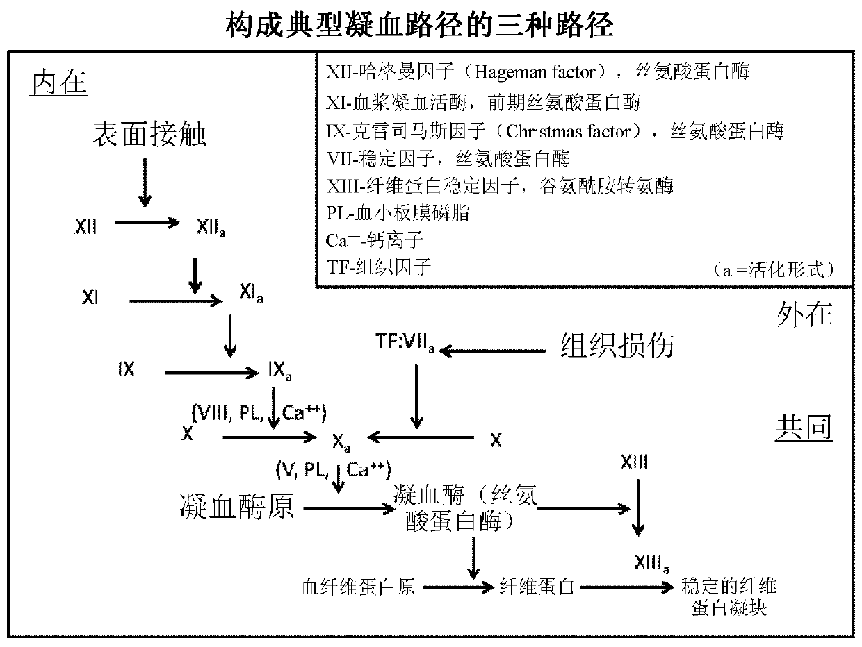 Bispecific antibodies for factor ix and factor x