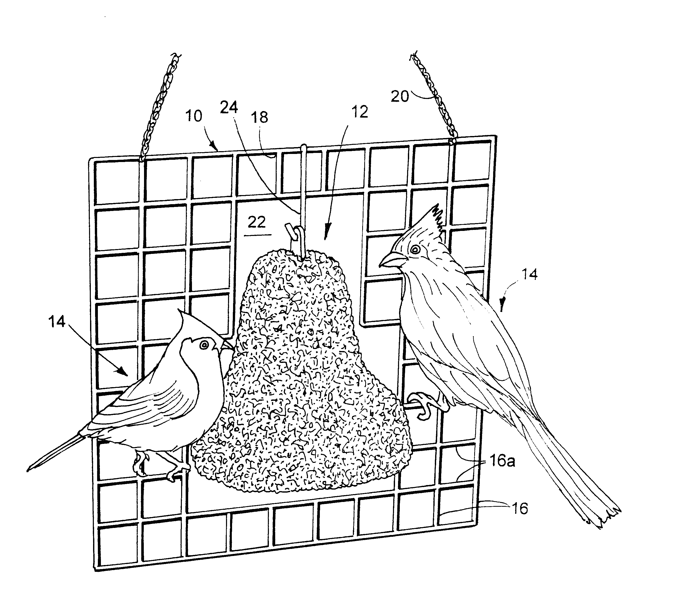 Display bird feeder