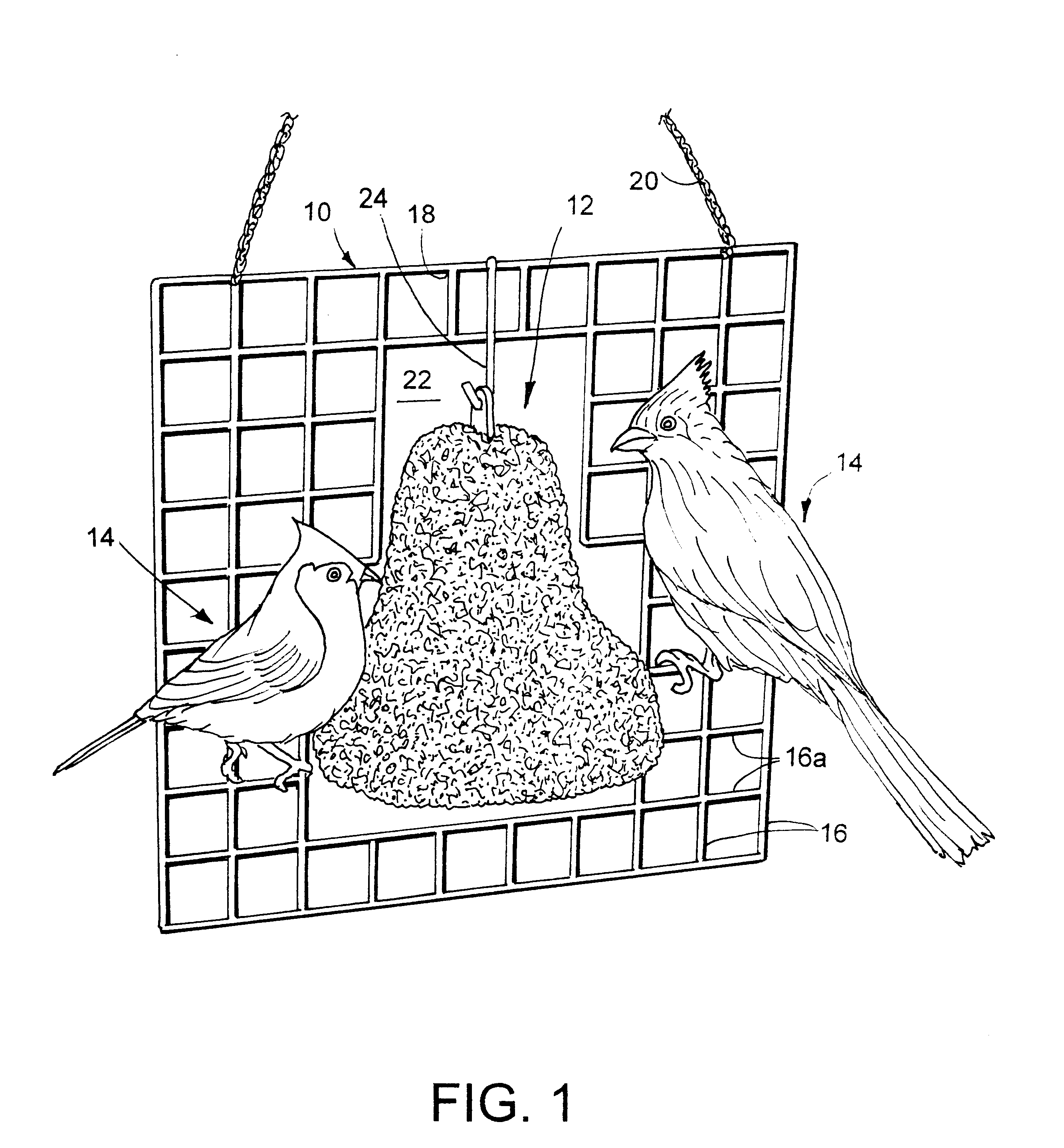 Display bird feeder