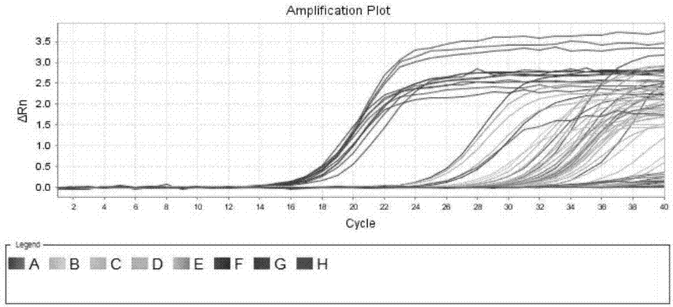 Method for screening specific circular RNA (ribonucleic acid) of triple-negative breast cancer