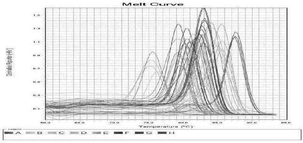 Method for screening specific circular RNA (ribonucleic acid) of triple-negative breast cancer