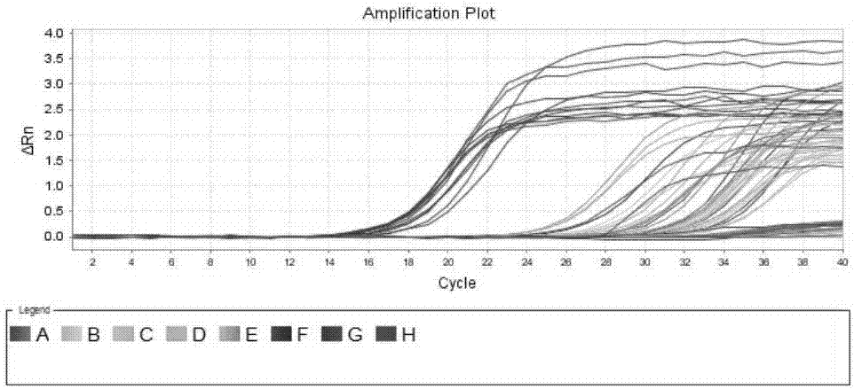 Method for screening specific circular RNA (ribonucleic acid) of triple-negative breast cancer