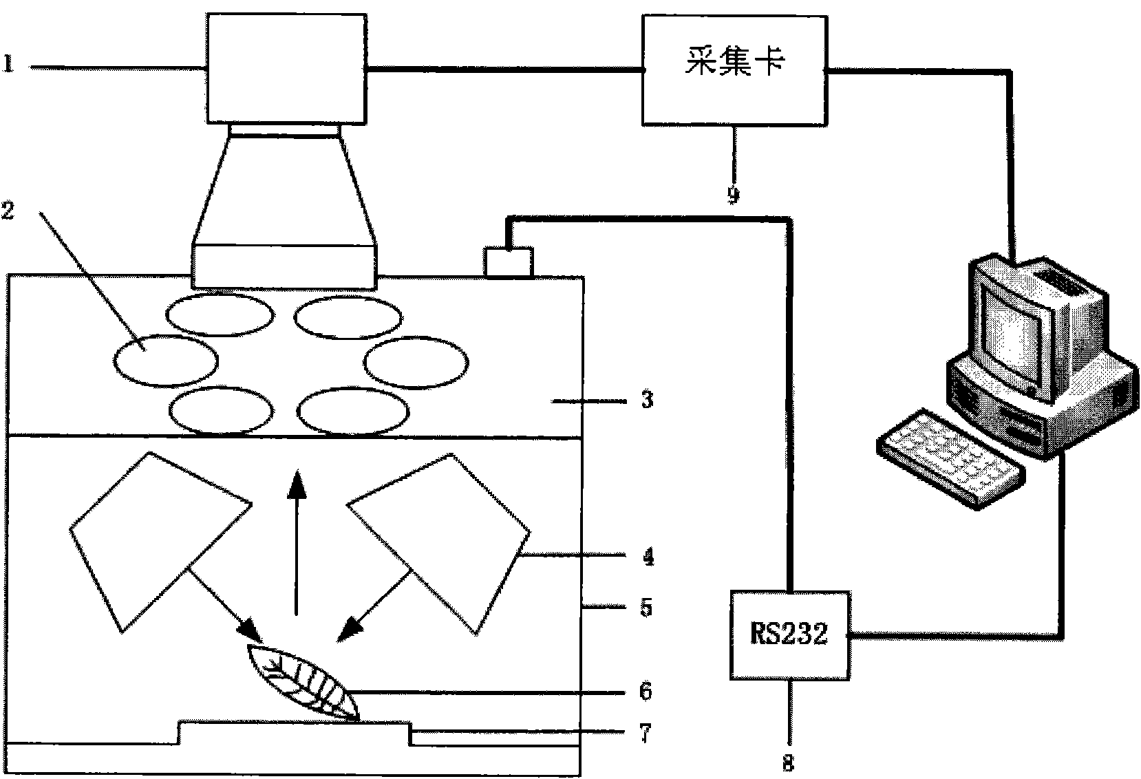 Method and device for rapidly detecting nutritional information of tea tree based on hyperspectral imaging technique