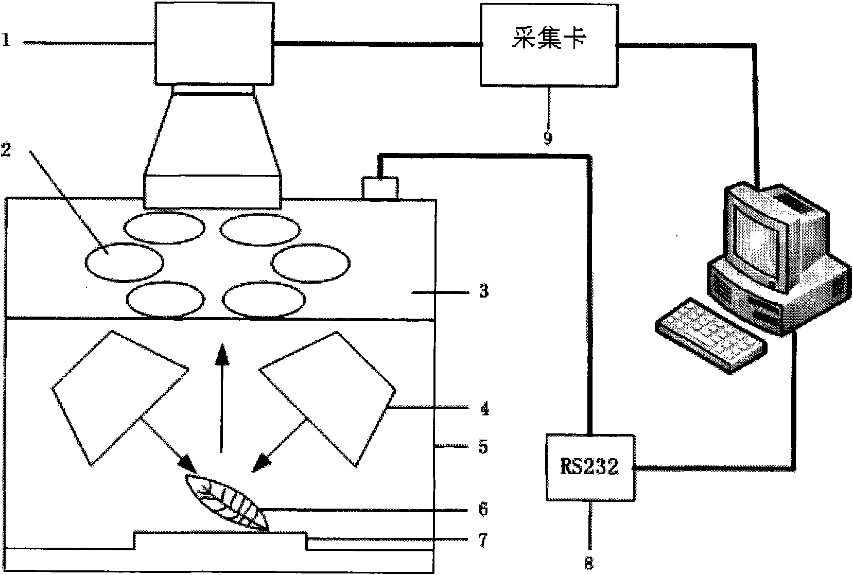 Method and device for rapidly detecting nutritional information of tea tree based on hyperspectral imaging technique