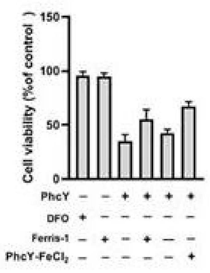 A novel heterocyclic aromatic hydrazone derivative, its pharmaceutically acceptable salt, its preparation method and application