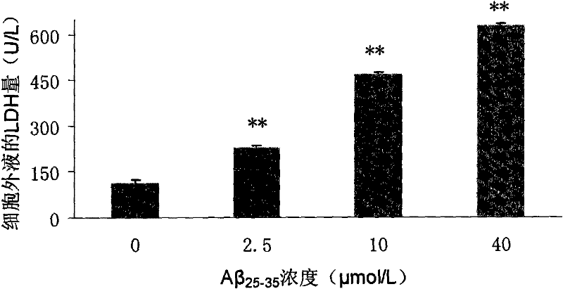 Application of red stilbene and red stilbene polysaccharide in preparing medicament for improvement of learning memory and treatment of Alzheimer disease