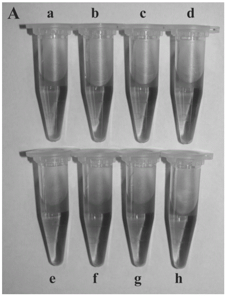 Gold nanoparticle-containing glucose visual detection sensor and its preparation method and use