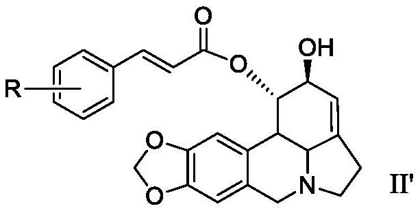 Lycorine beta-aryl acrylate derivative as well as preparation method and application thereof