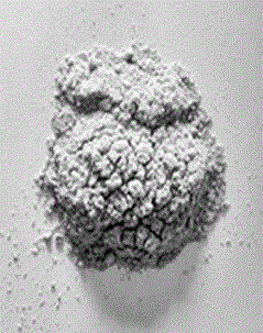 Preparation of new guar meal animal feed additive by mixed microbial solid fermentation