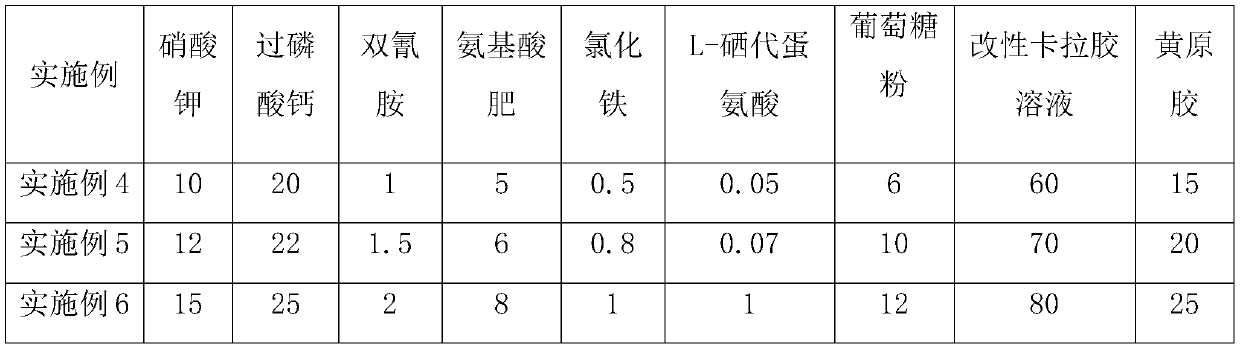 Moso bamboo shoot selenium-rich nutri-plus gel and preparation method and application thereof