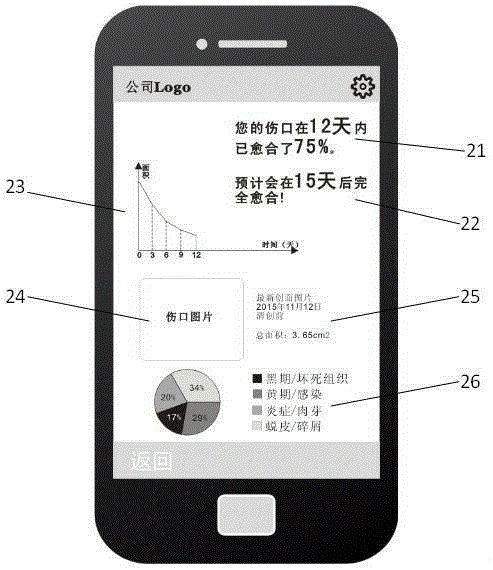 Wound treatment APP (application) system based on big data processing