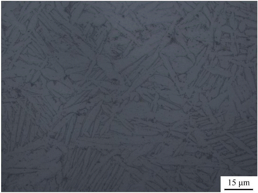 Method for controlling grain equi-axiation to improve plasticity of Ti20Zr6.5Al4V alloy