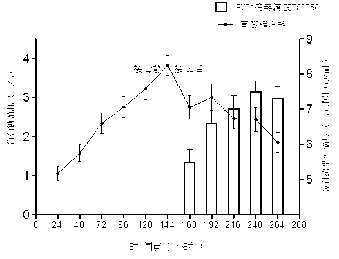 Optimized process method for amplifying enterovirus type 71 by use of bioreactor