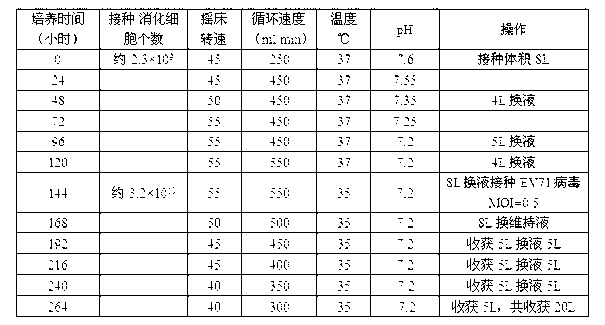 Optimized process method for amplifying enterovirus type 71 by use of bioreactor