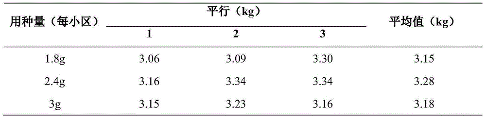 High-yield and low-seeding-quantity cultivation method of motherwort