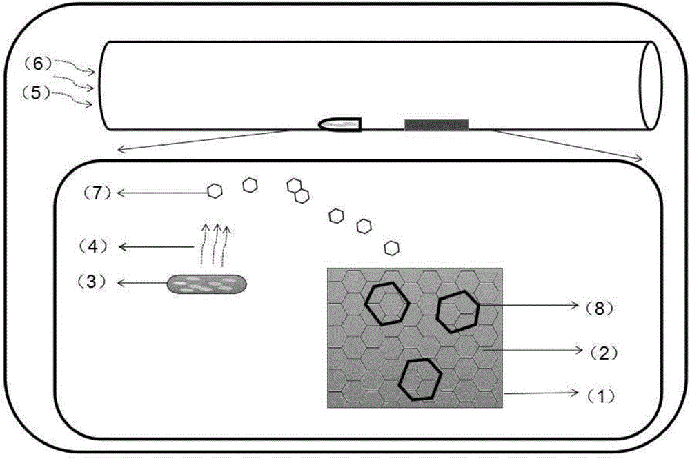 Large single crystal double layer graphene and the preparation method thereof