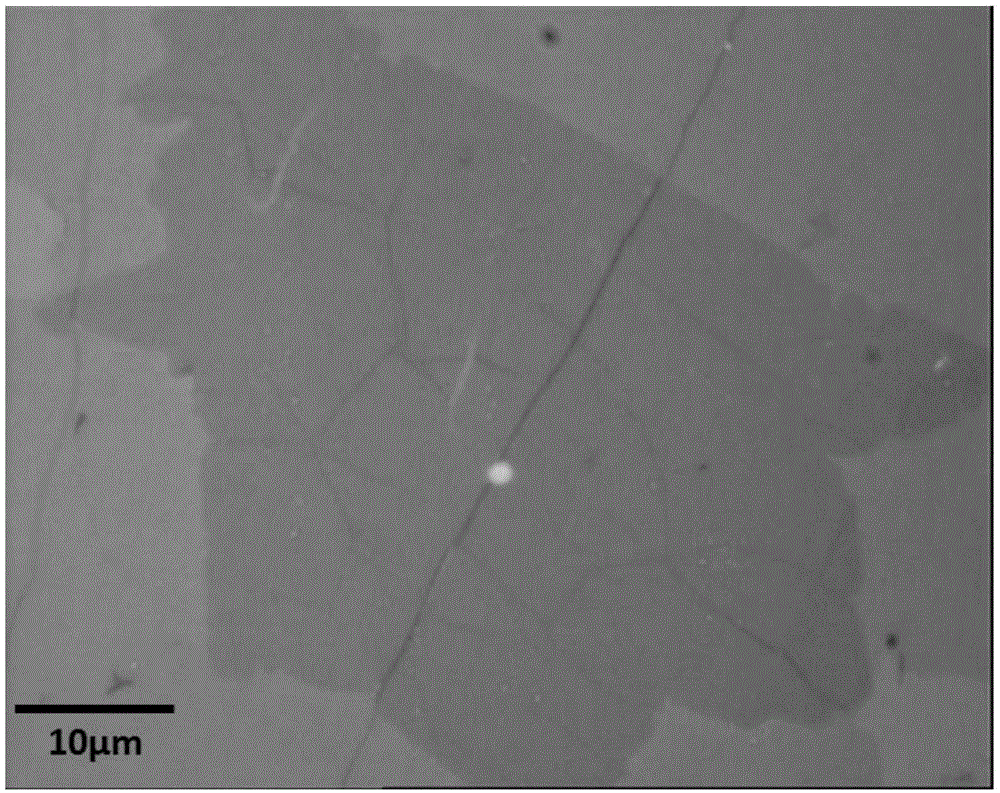 Large single crystal double layer graphene and the preparation method thereof