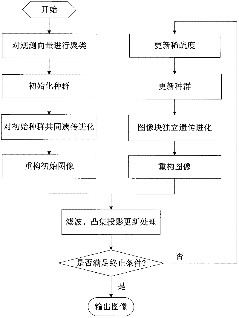 Genetic evolution image rebuilding method based on Ridgelet redundant dictionary