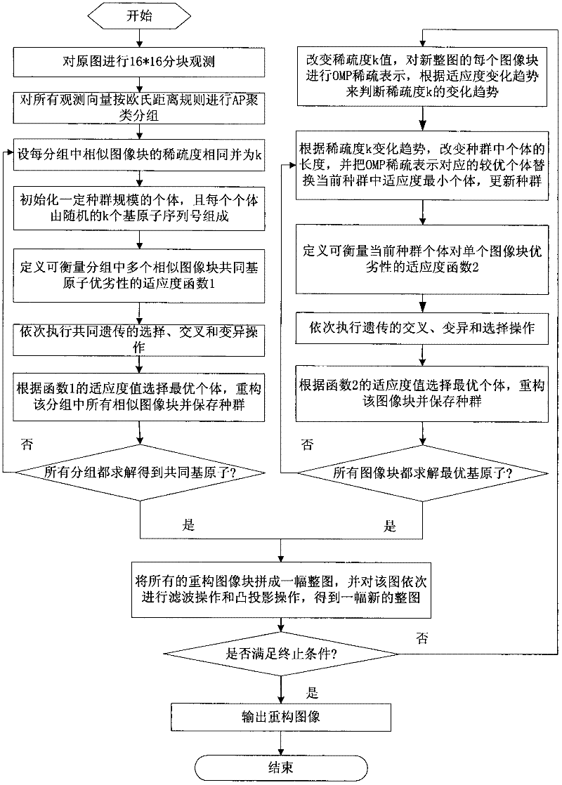 Genetic evolution image rebuilding method based on Ridgelet redundant dictionary