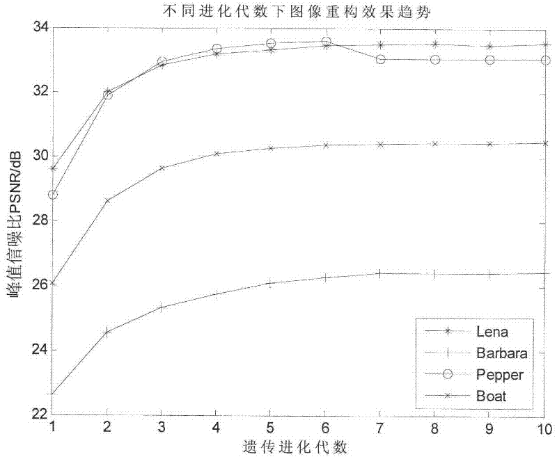 Genetic evolution image rebuilding method based on Ridgelet redundant dictionary