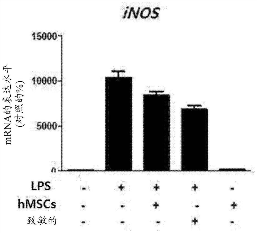 Method for enhancing efficacy of stem cells by using ethionamide