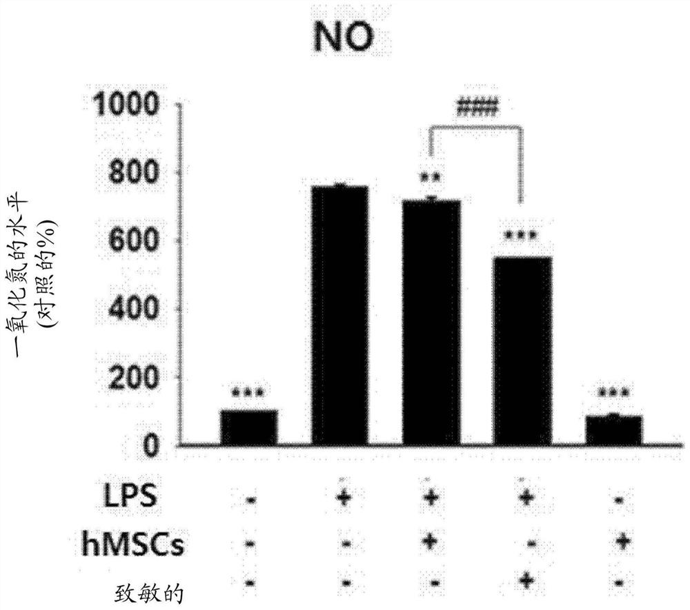 Method for enhancing efficacy of stem cells by using ethionamide