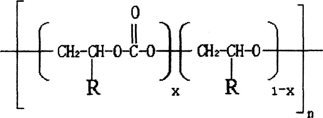 Polylactic acid/carbon dioxide polymer degradation type composite material