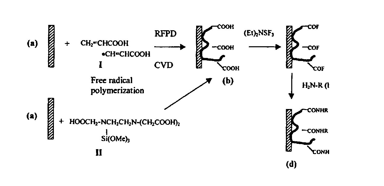 Polymer-coated substrates for immobilization of biomolecules and cells