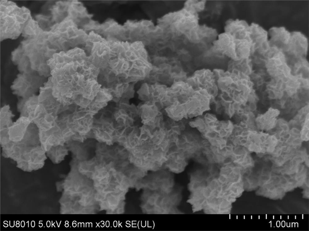 Preparation method of phosphorus-doped amorphous carbon coated 1T-phase molybdenum disulfide/carbon lithium ion battery composite negative electrode material