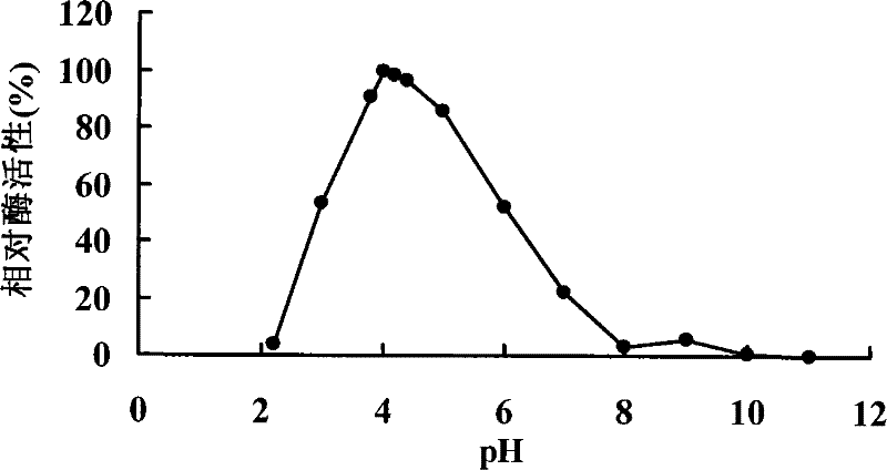 Anti-protease acidic alpha-galactosidase Aga-F75 and gene and application thereof