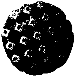 Method and device for preparing tissue