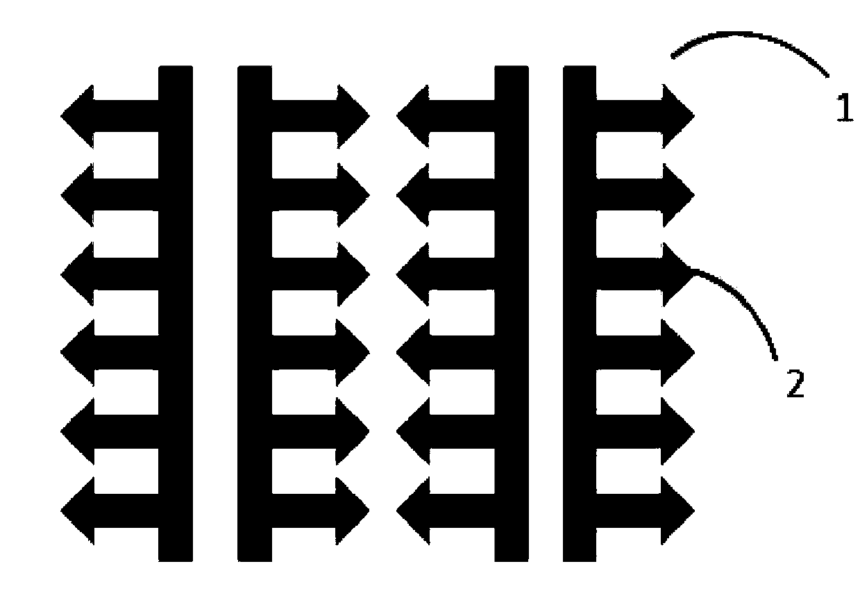 Preparation method of soluble microneedle patch for rabies vaccine