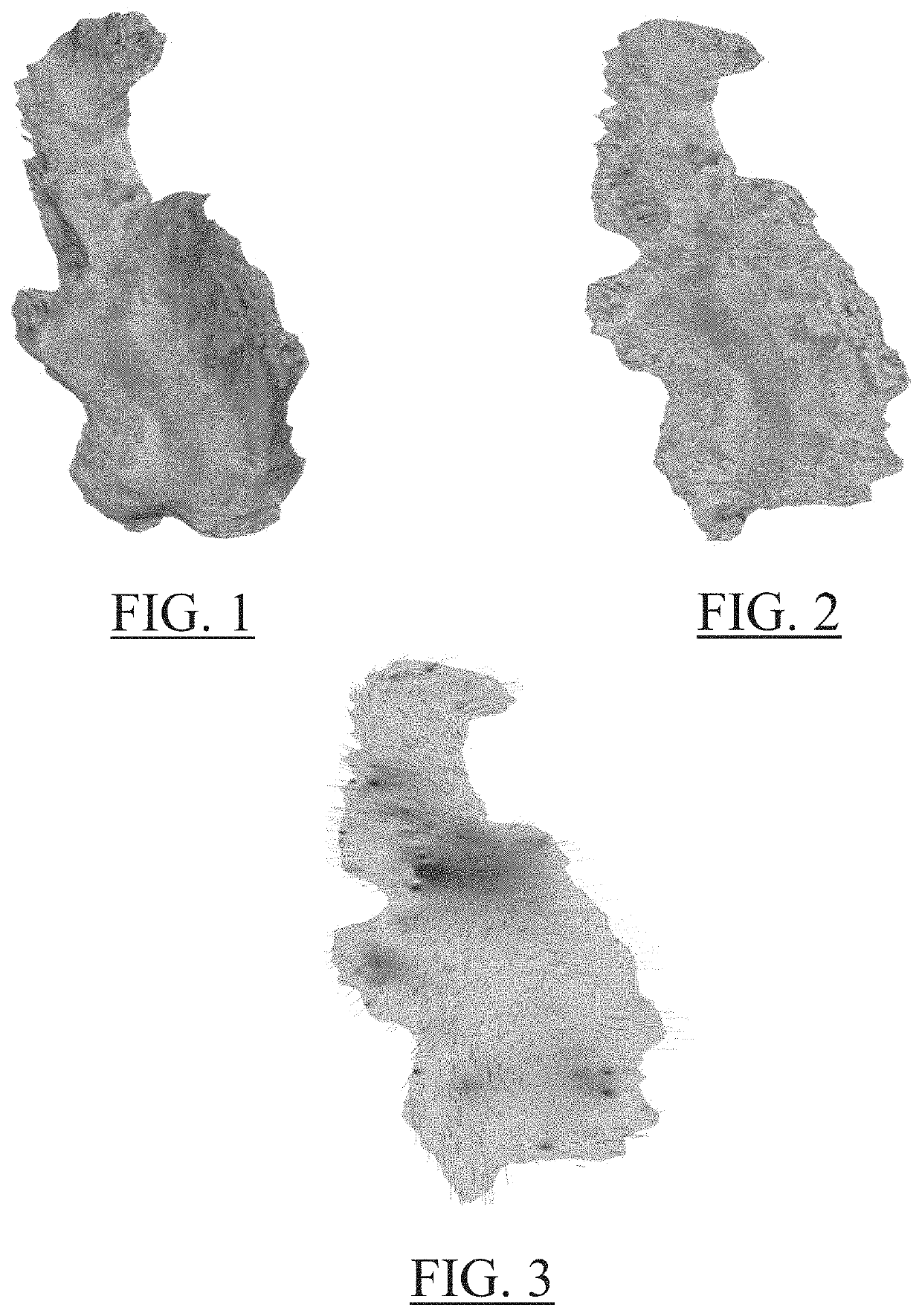 3D structural restoration of a geological setting