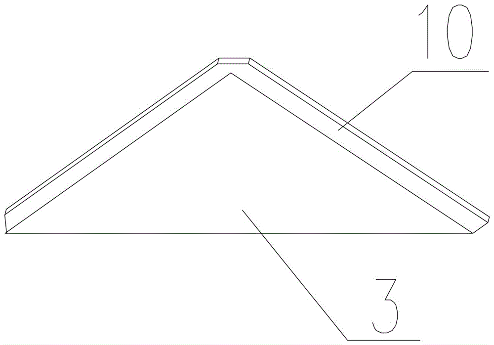 A climbing ladder with double pipes and protective cages for steel pipe poles