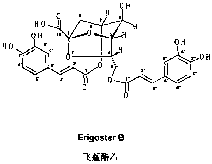 Erigeron ester B and its preparation method as well as application in pharmacy