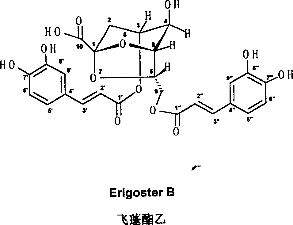 Erigeron ester B and its preparation method as well as application in pharmacy