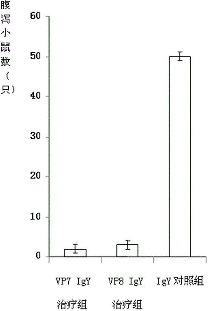 Chicken egg yolk antibody resisting human A rotavirus as well as preparation method and application thereof