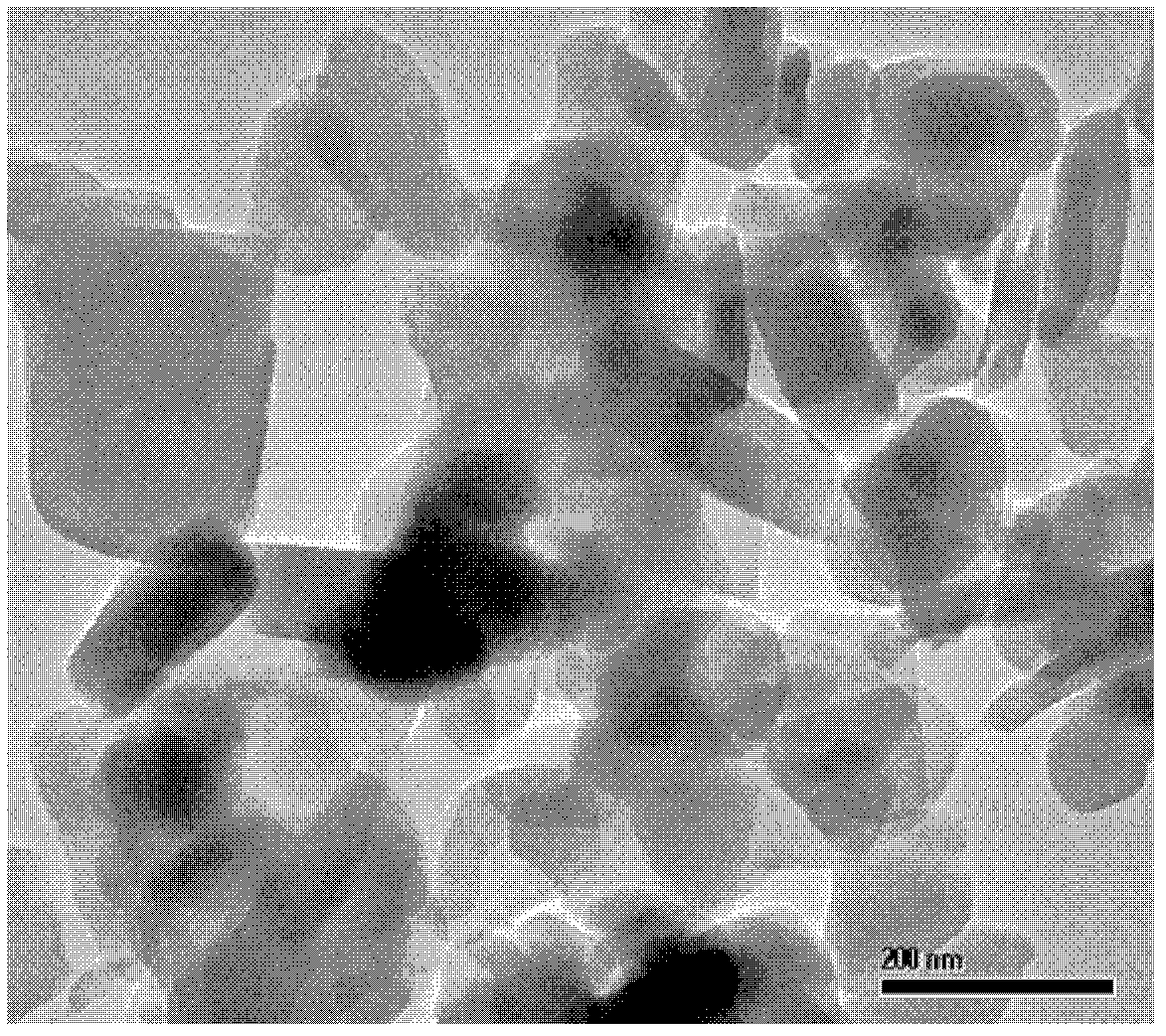 Efficient polylactic acid nucleating agent, and preparation method and application thereof