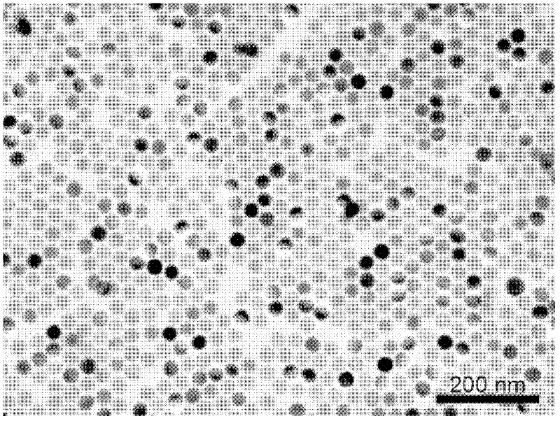 Method for implementing transfer of up-conversion nanocrystals from oil phase to aqueous phase